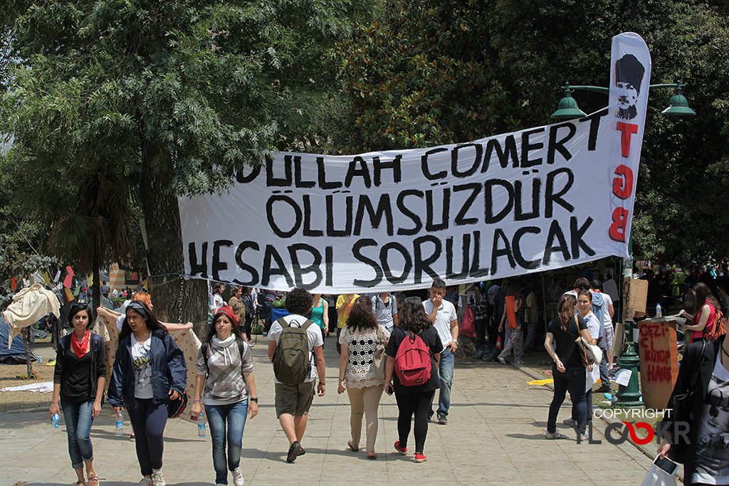 Gezi Parkı, Abdullah Cömert, TGB
