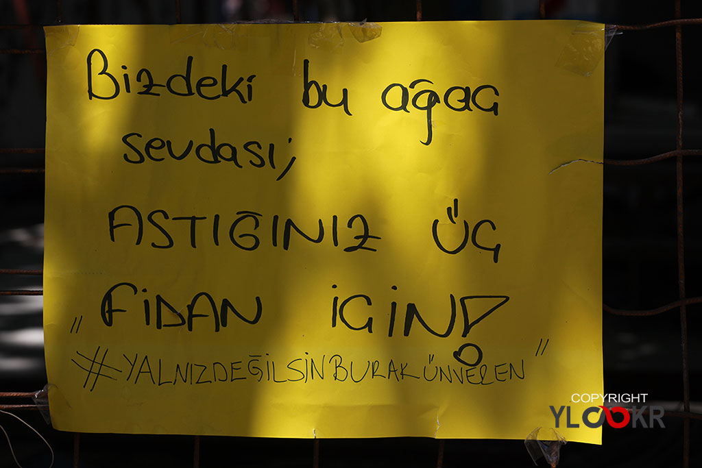 Gezi Parkı 14. gün 27