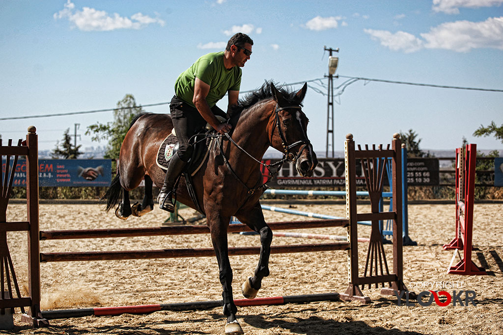 International K9&Horse Club; At Eğitimi; Binicilik; Atlı spor 4