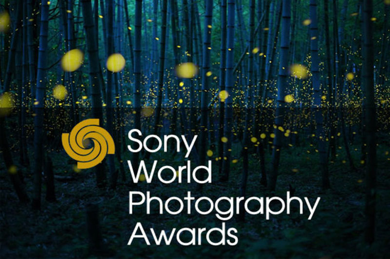 Sony World Photography Awards 2017 - 1