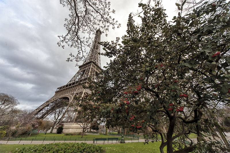 Paris; France; Eyfel Kulesi