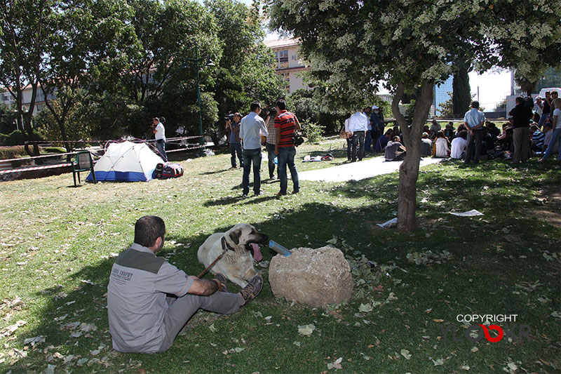 Fotoğraf: Çakır; Taksim, Gezi Parkı; 1. Gün; 28 Mayıs 2013; 2