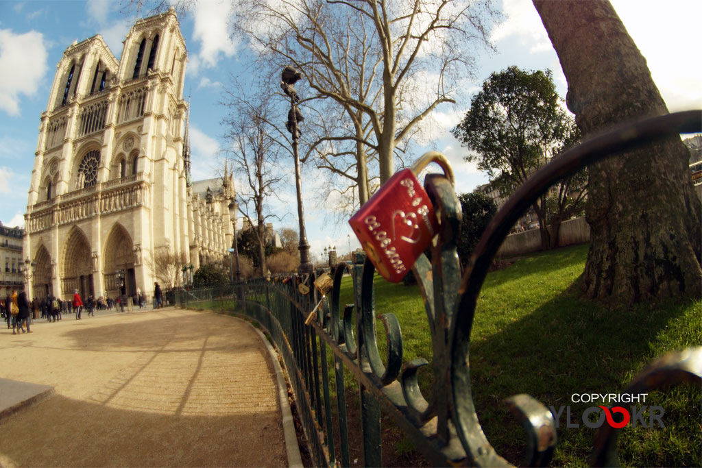 France; Paris; Cathédrale Notre Dame de Paris; 7