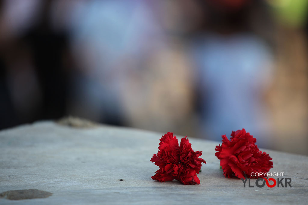 Gezi Parkı; Taksim Dayanışması; Karanfil Eylemi 1