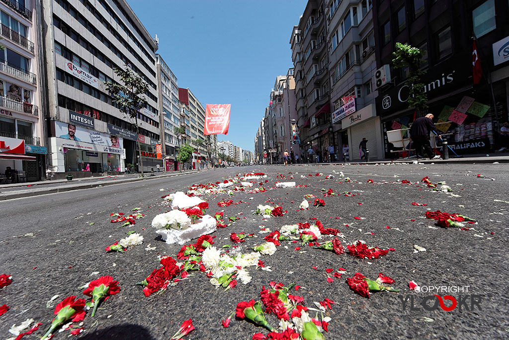 1 Mayıs 2013; DİSK; Şişli; Karanfil