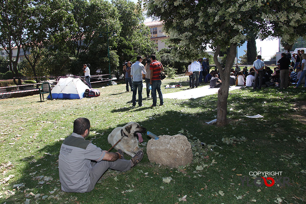 Gezi Parkı 1. gün 1