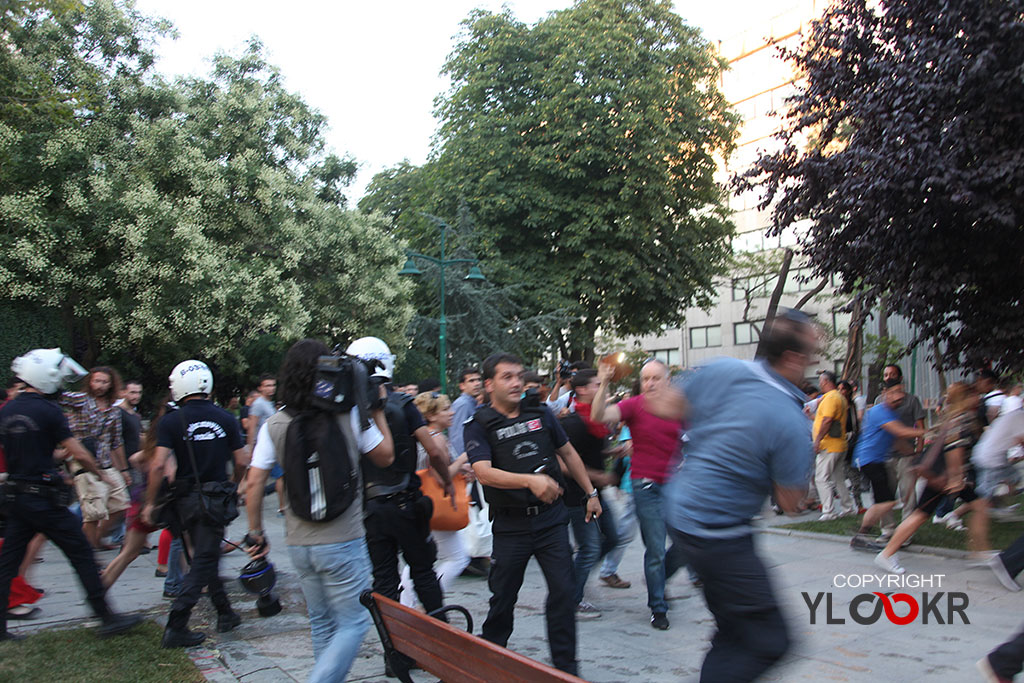 Çapulcu Düğünü; Gezi Parkı, polis müdahalesi 2