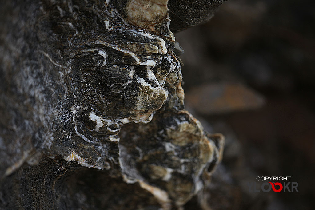 Taş; Stone; Kaya; macro Photography; Makro Fotoğraf 1