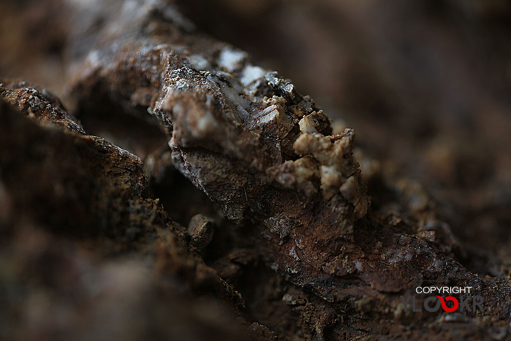 Taş; Stone; Kaya; macro Photography; Makro Fotoğraf 3