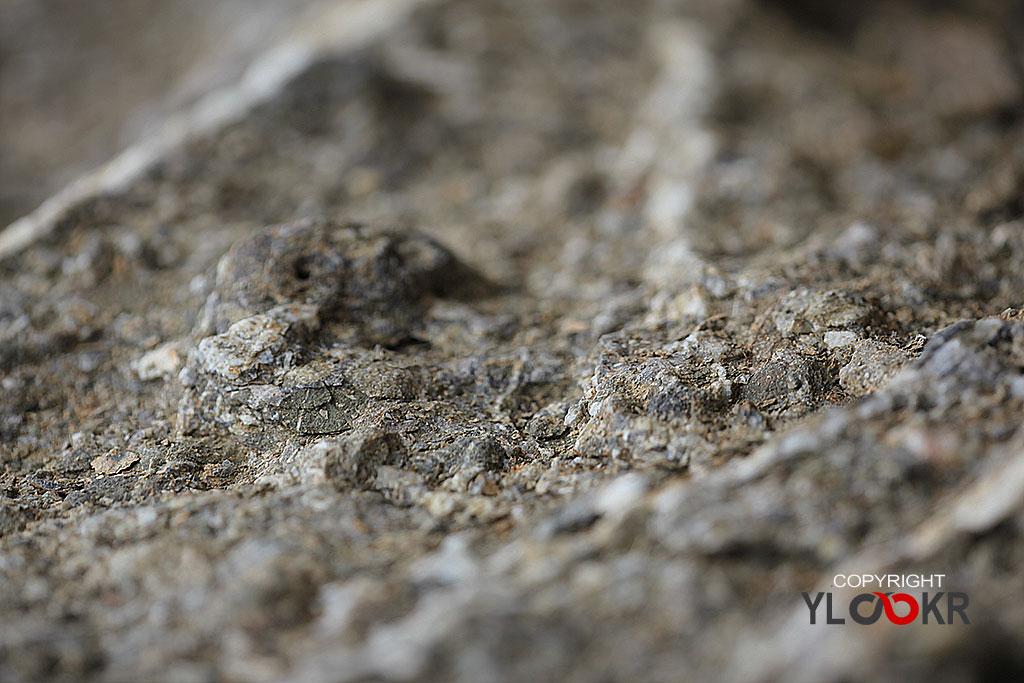 Taş; Stone; Kaya; macro Photography; Makro Fotoğraf 5