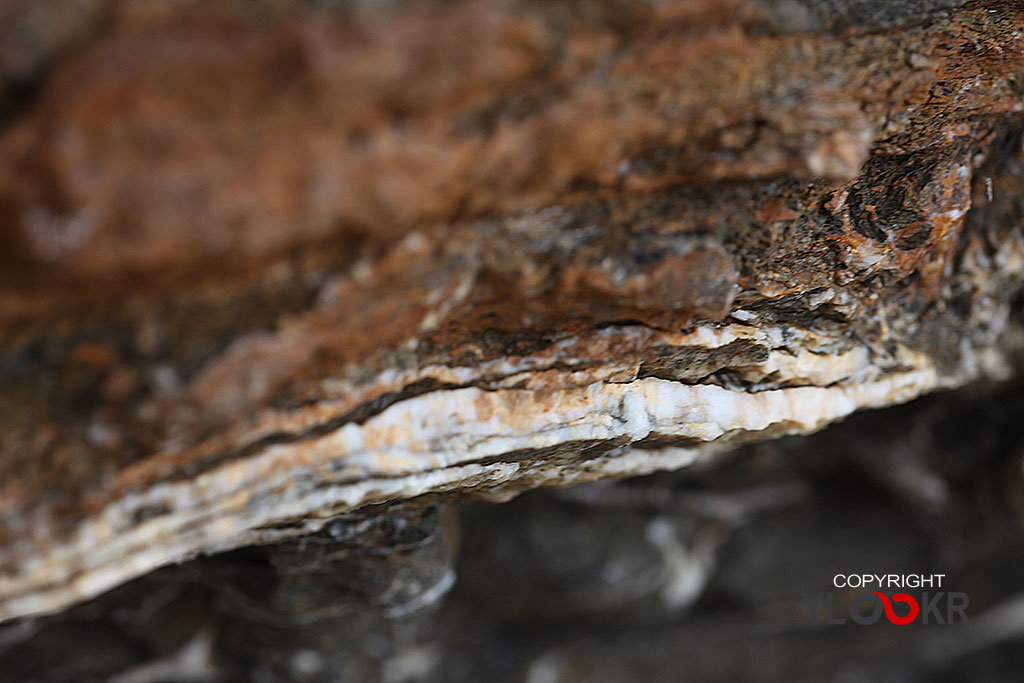 Taş; Stone; Kaya; macro Photography; Makro Fotoğraf 7