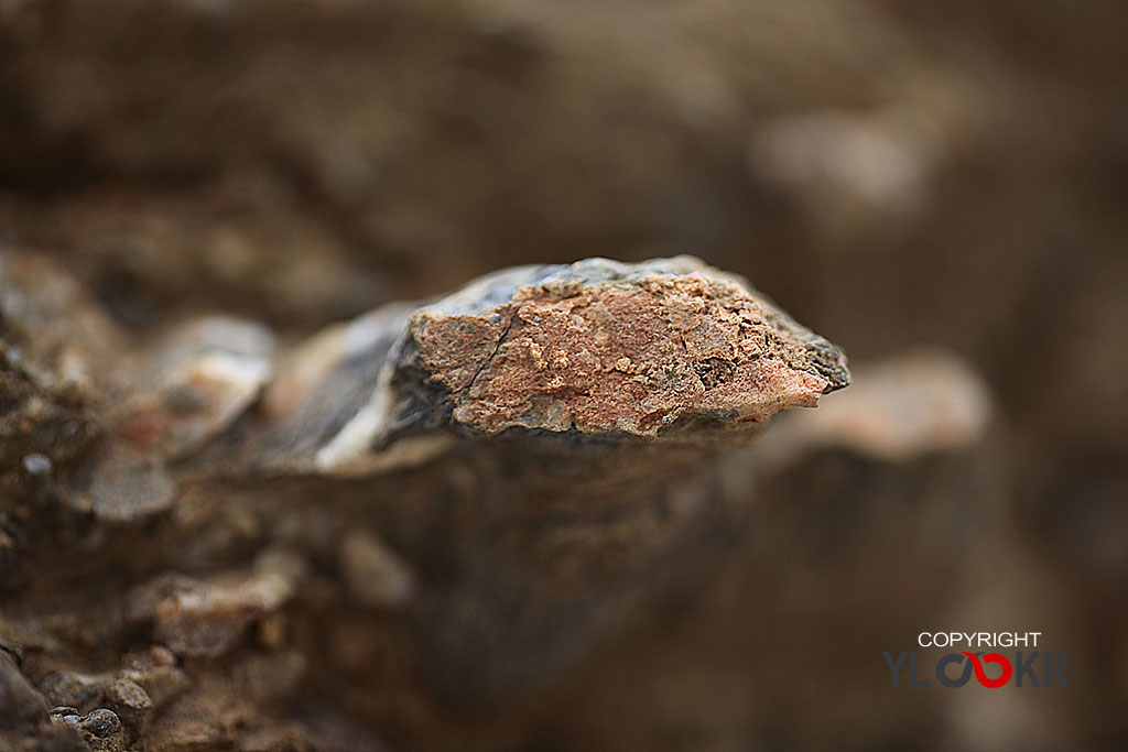 Taş; Stone; Kaya; macro Photography; Makro Fotoğraf 8