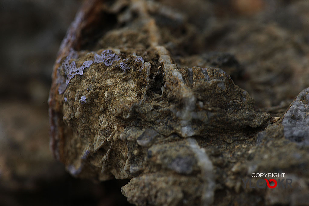 Taş; Stone; Kaya; macro Photography; Makro Fotoğraf 9