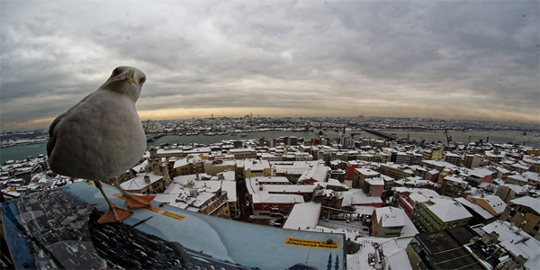 İstanbul Kar Yağışı