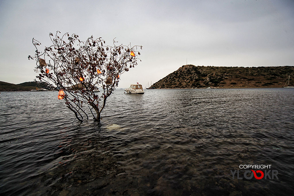 Myndos, Bodrum, Gümüşlük 16