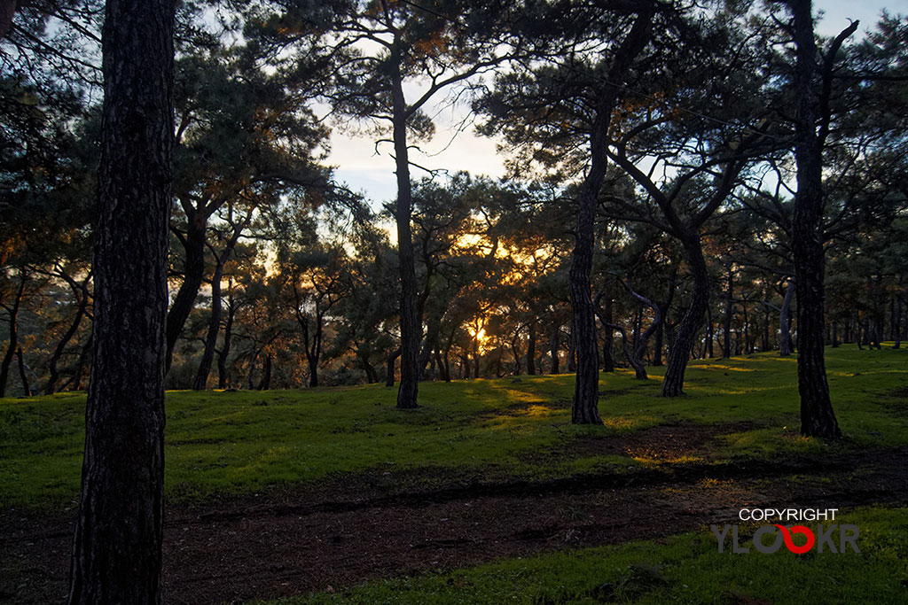 Büyükada, Prens adaları, Manzara, İstanbul 10