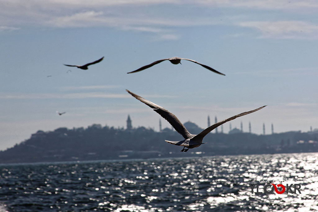 İstanbul, Manzara, Landscape 9