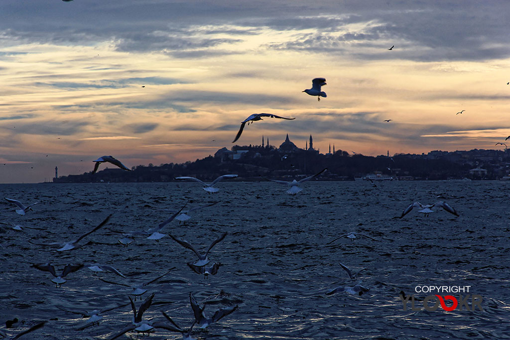 İstanbul 33