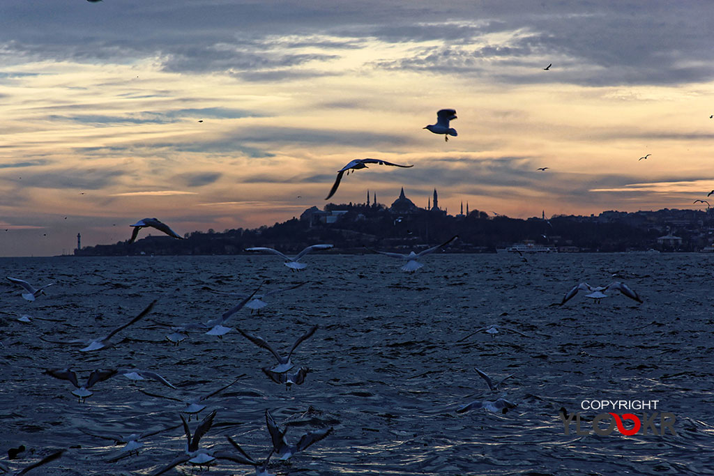 İstanbul 33