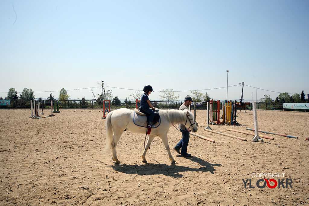 International K9&Horse Club 16