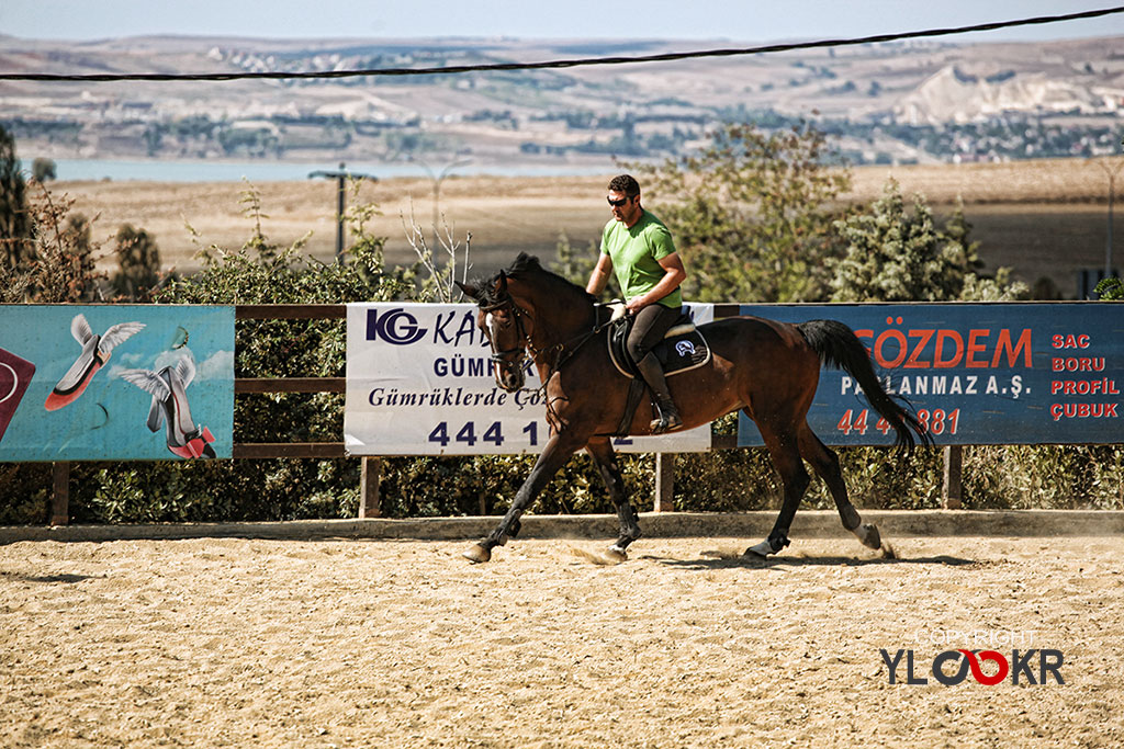 International K9&Horse Club; At Eğitimi; Binicilik; Atlı spor 1