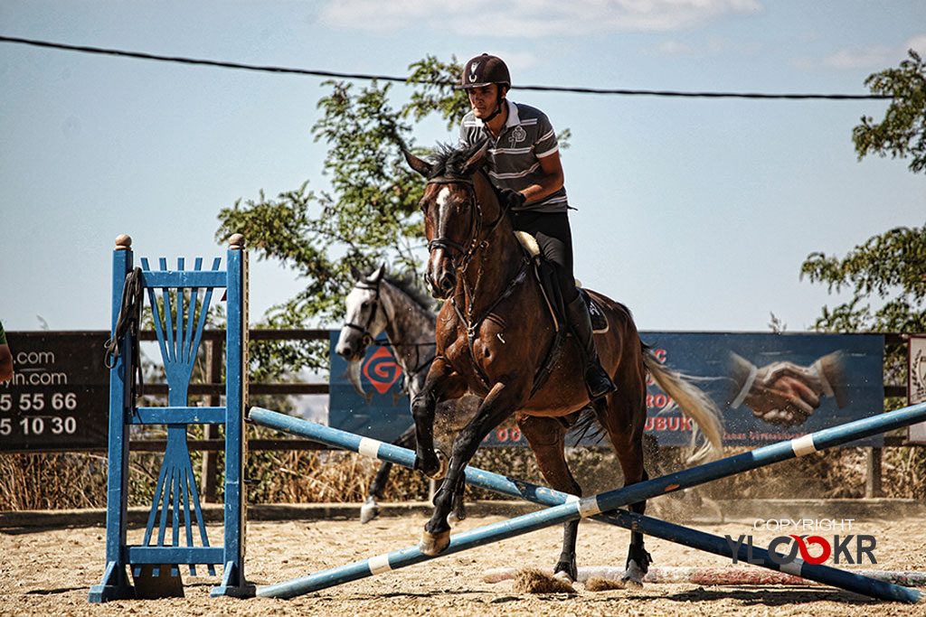 International K9&Horse Club; At Eğitimi; Binicilik; Atlı spor 10