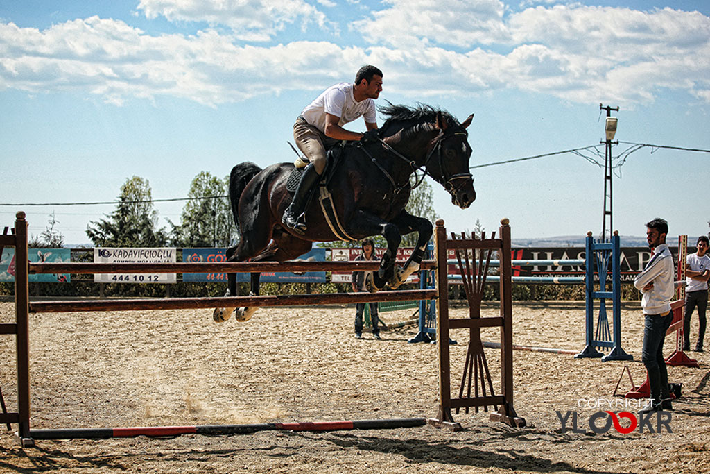 International K9&Horse Club; At Eğitimi; Binicilik; Atlı spor 11