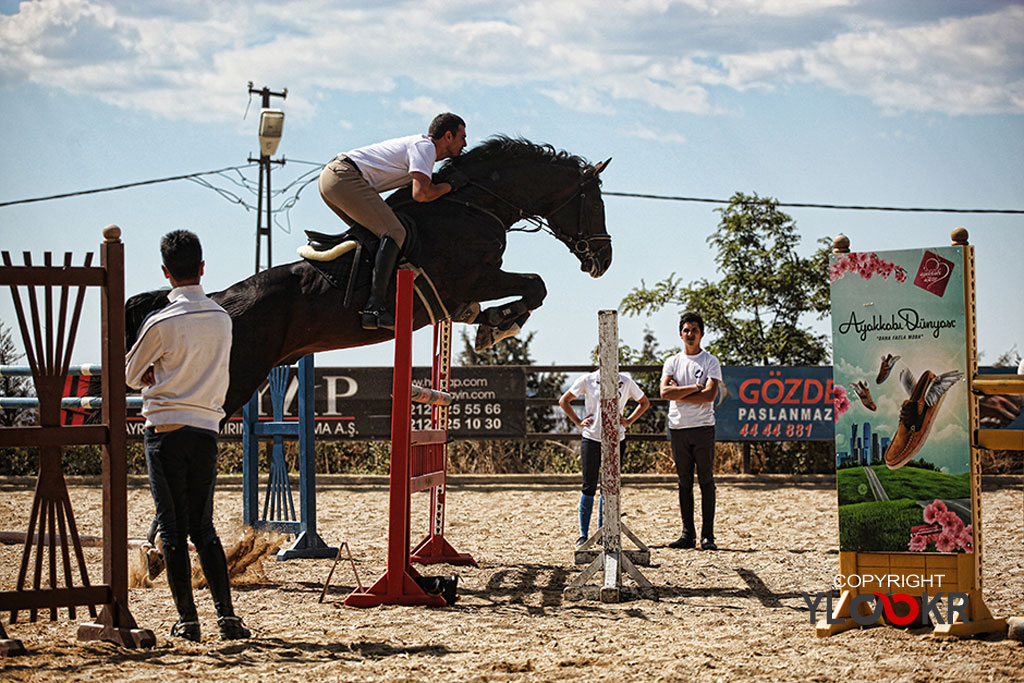 International K9&Horse Club; At Eğitimi; Binicilik; Atlı spor 12