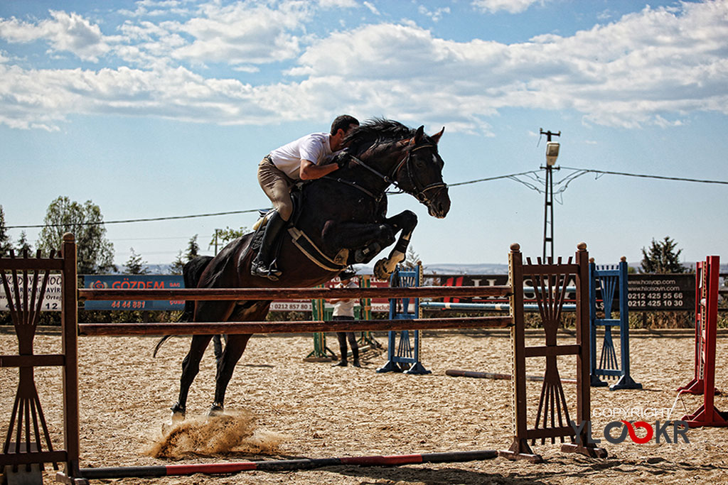 International K9&Horse Club; At Eğitimi; Binicilik; Atlı spor 13