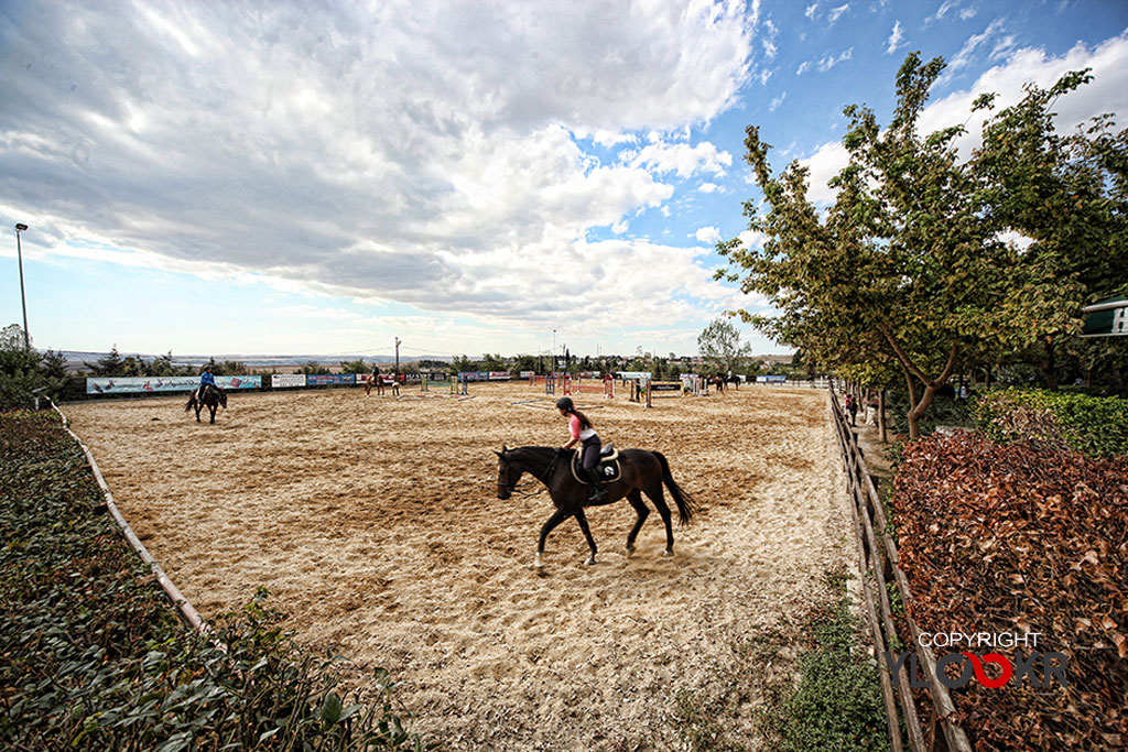 International K9&Horse Club; At Eğitimi; Binicilik; Atlı spor  14