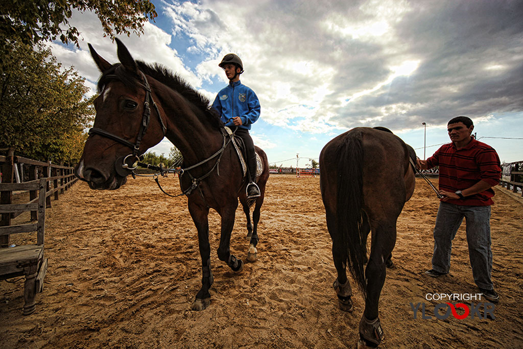 International K9&Horse Club; At Eğitimi; Binicilik; Atlı spor 15