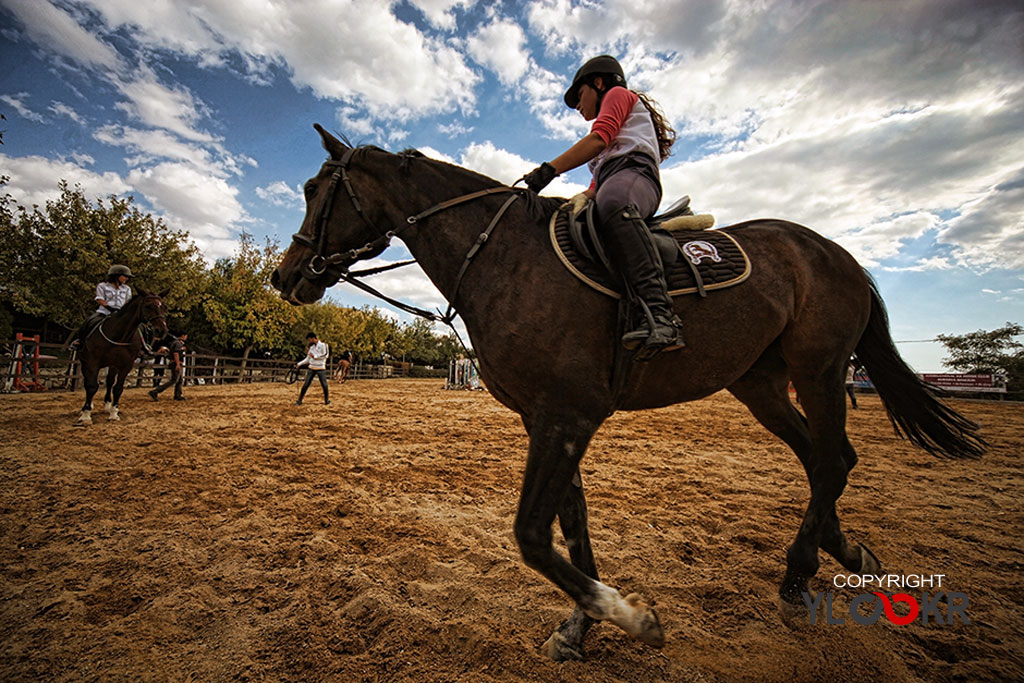 International K9&Horse Club; At Eğitimi; Binicilik; Atlı spor  16