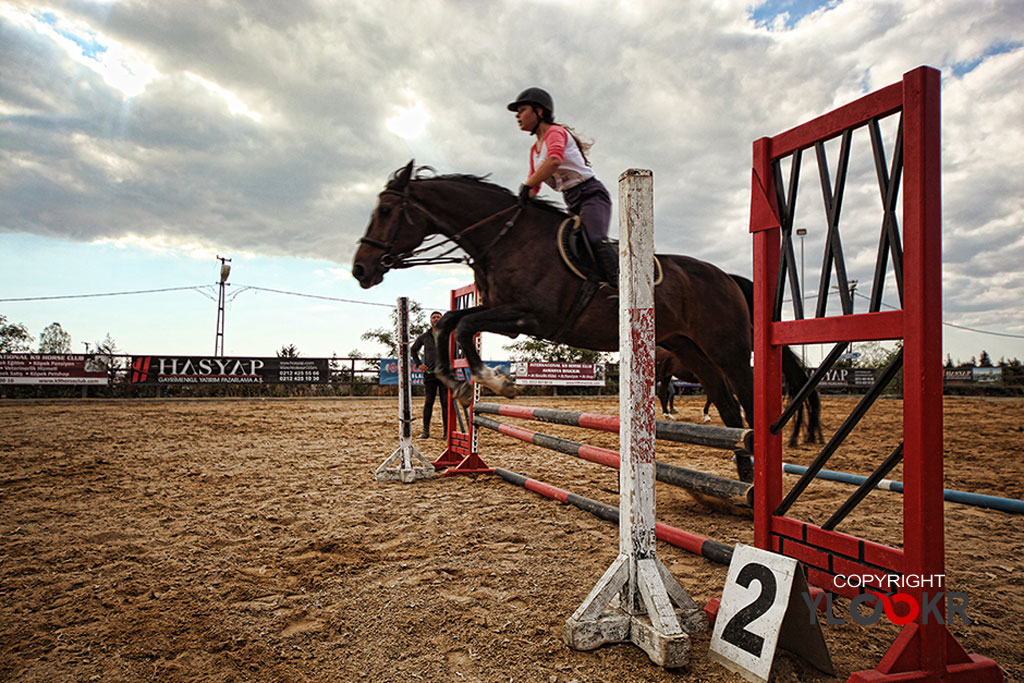 International K9&Horse Club; At Eğitimi; Binicilik; Atlı spor 17