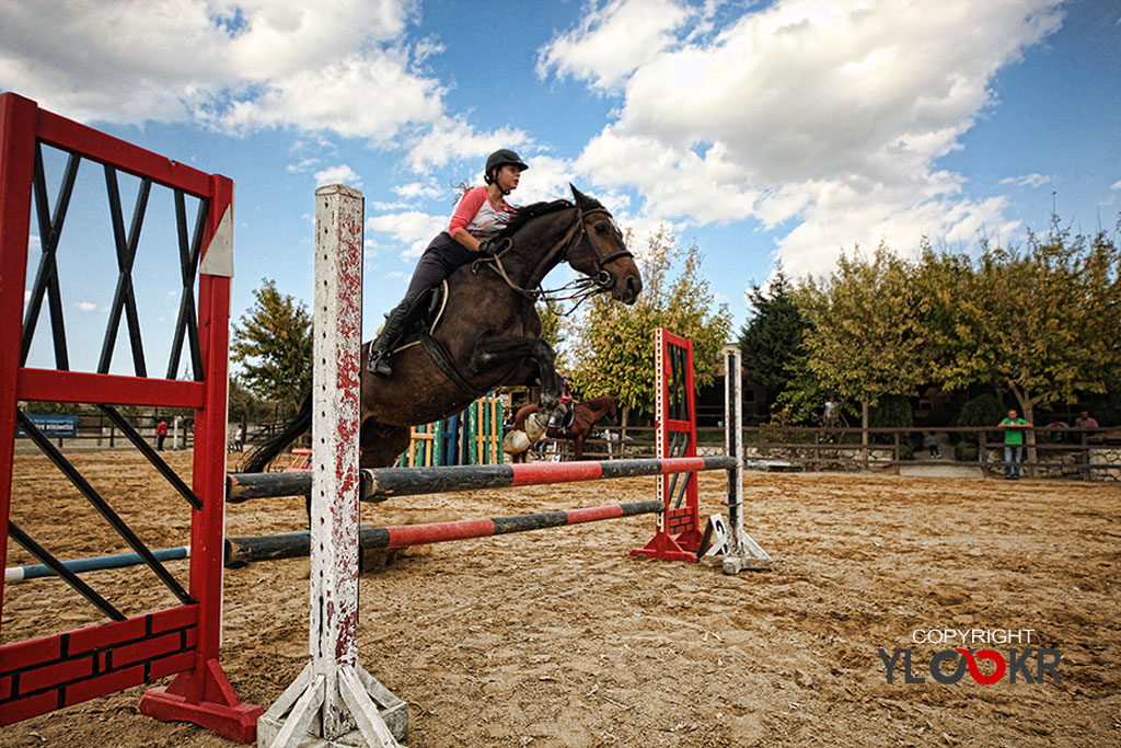 International K9&Horse Club; At Eğitimi; Binicilik; Atlı spor 18