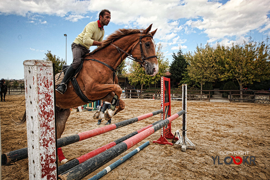 International K9&Horse Club; At Eğitimi; Binicilik; Atlı spor 19