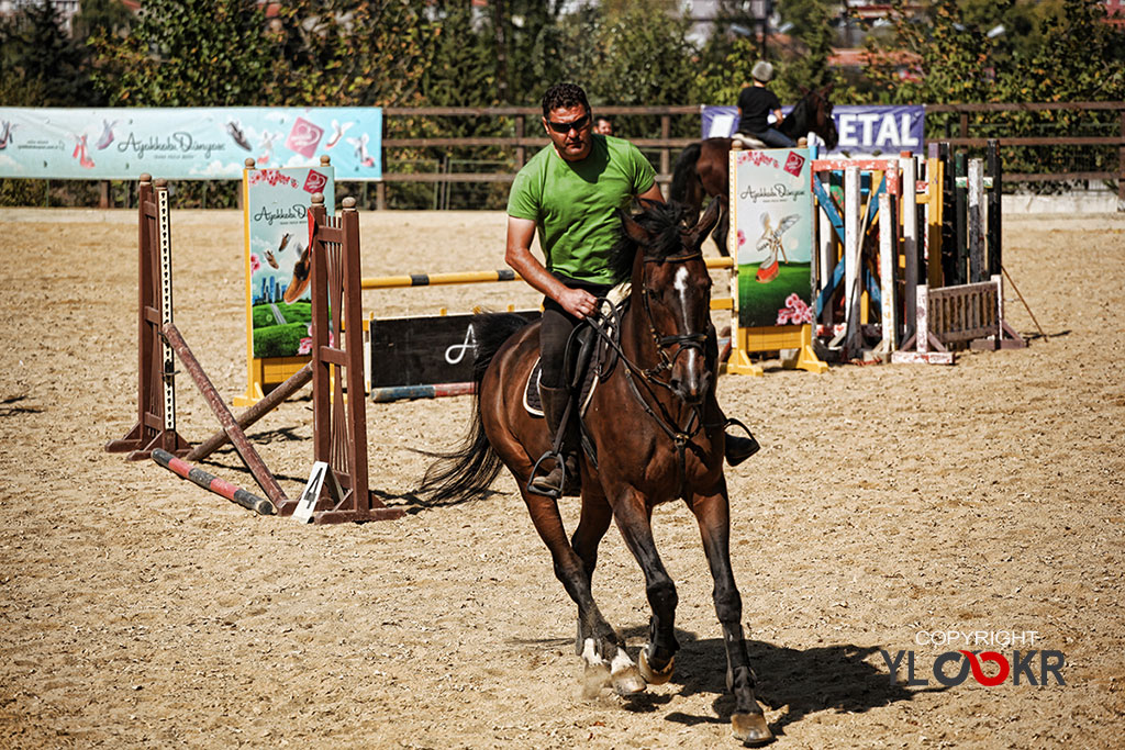 International K9&Horse Club; At Eğitimi; Binicilik; Atlı spor 3