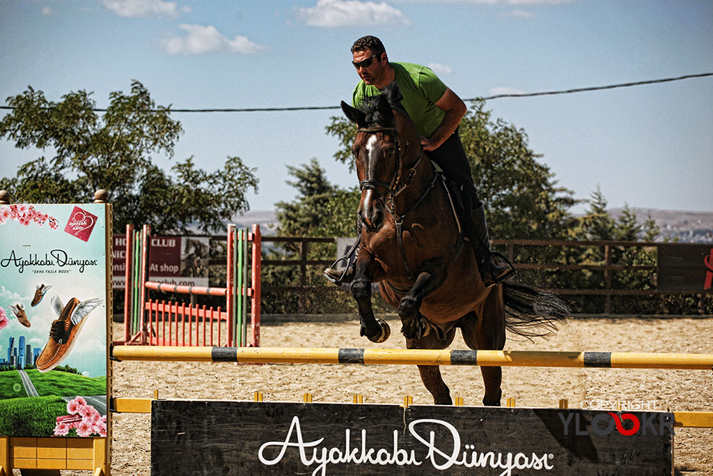 International K9&Horse Club; At Eğitimi; Binicilik; Atlı spor 5