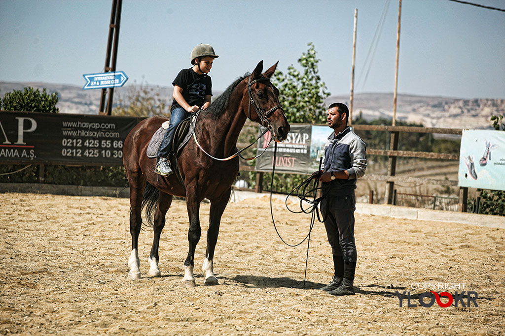 International K9&Horse Club; At Eğitimi; Binicilik; Atlı spor 8