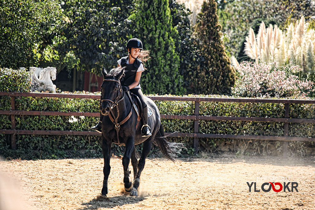 International K9&Horse Club; At Eğitimi; Binicilik; Atlı spor  9