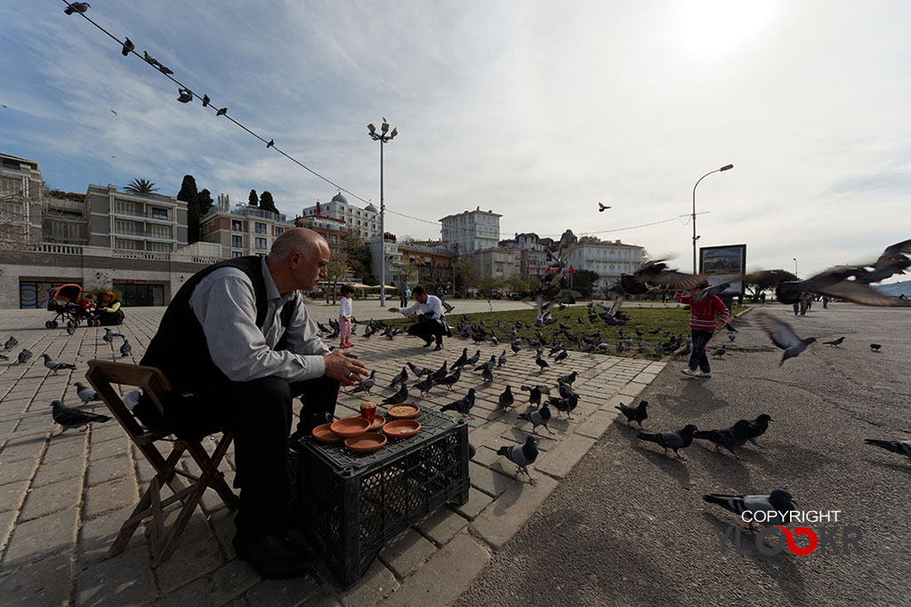 Sokak Fotoğrafı; Kuşcu; Yemci; Kuş Yemcisi 1