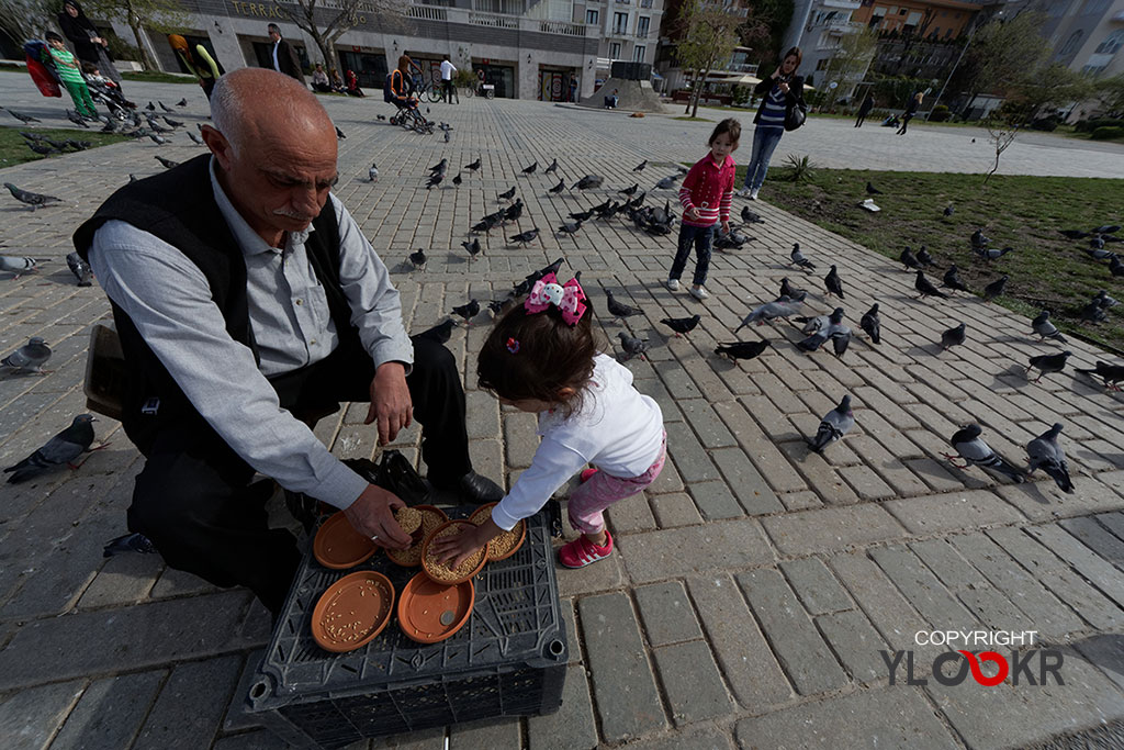 Sokak Fotoğrafı; Kuşcu; Yemci; Kuş Yemcisi 2