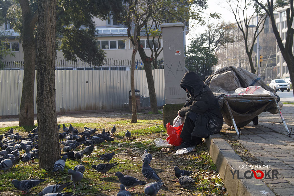 street photography, sokak fotoğrafçılığı, Kağıt Toplayıcı; Güvercin; Fındıklı Parkı 1