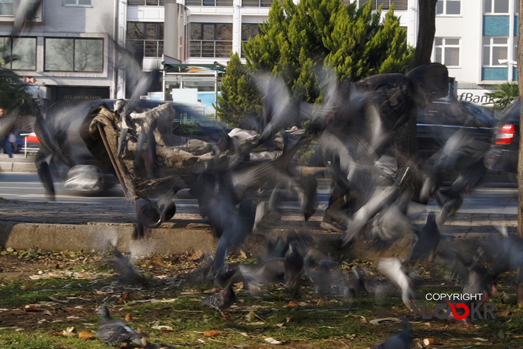 street photography, sokak fotoğrafçılığı, Kağıt Toplayıcı; Güvercin; Fındıklı Parkı 3