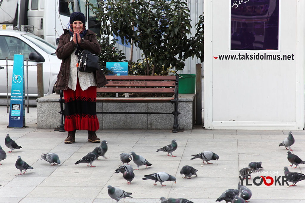 Sokak Fotoğrafçılığı; Beşiktaş; Güvercin