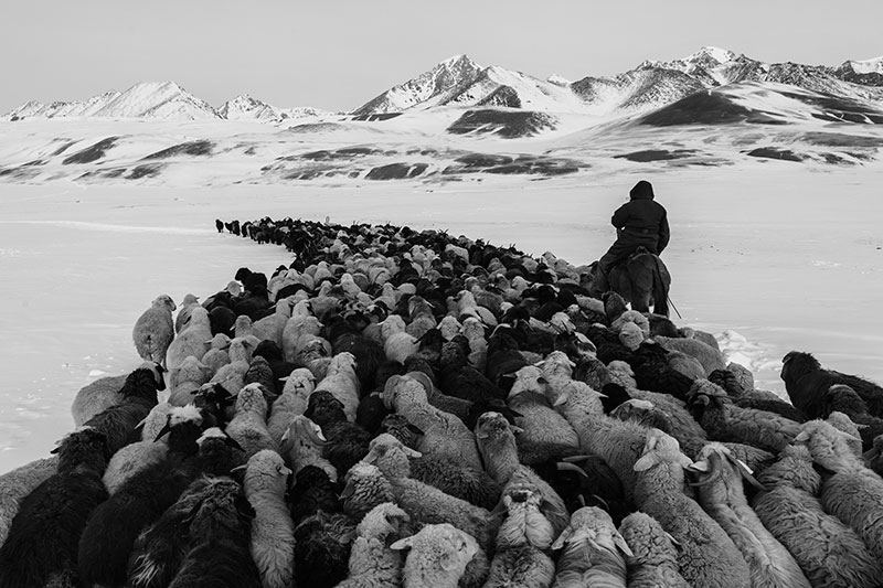 Frederik Buyckx, Belçika, Kısa Liste, ZEISS Fotoğraf Ödülü