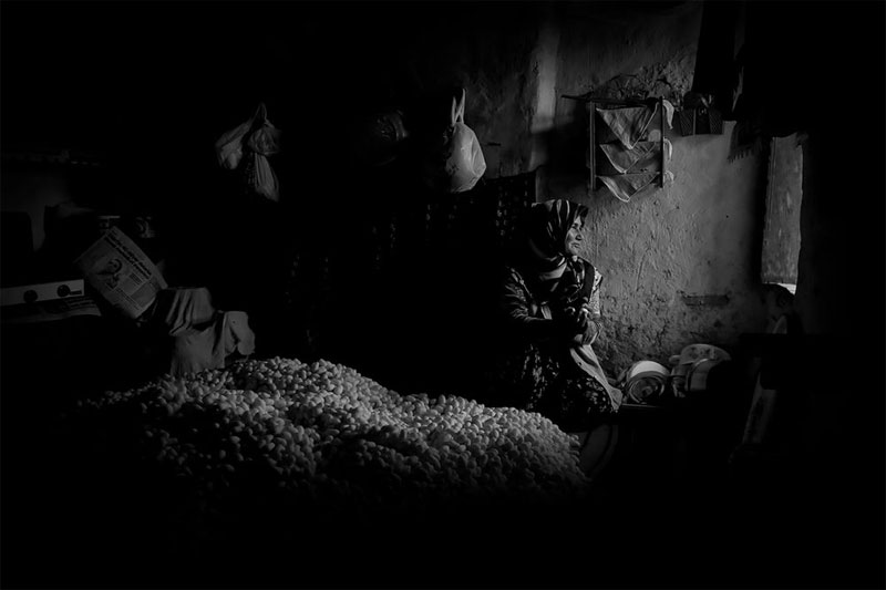 Fotoğraf Dersleri; Fotoğraf Makinesi Ayarları Sebahat Ersoy