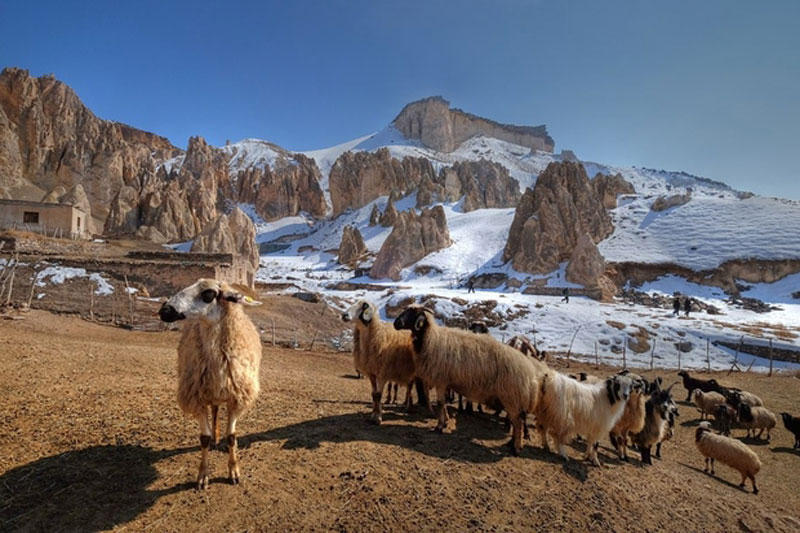 Güncel Türkiye Mimarlığı fotoğraf sergisi