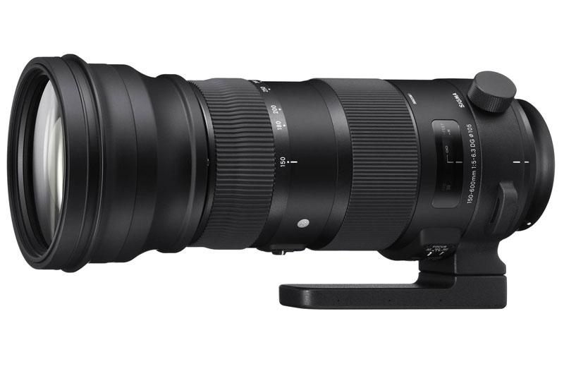 SIGMA 150-600mm F5-6.3 DG OS HSM