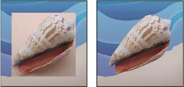 Fotograf Dersleri; Photoshop dersleri; fotoğraf haberleri Fotograf Dersleri; Photoshop dersleri; fotoğraf haberleri