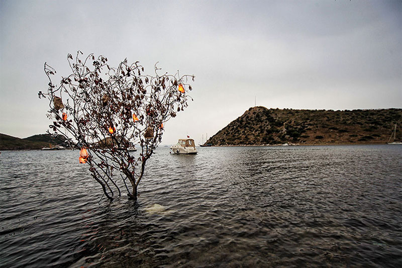 Fotoğraf: Yalçın Çakır; Bodrum; Gümüşlük